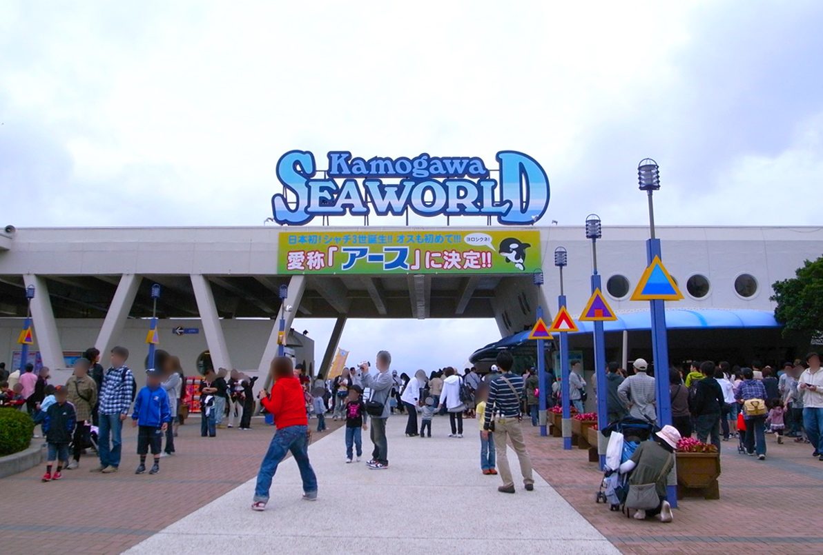 鴨川シーワールドの入口の実写写真